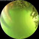 ./images/calvert/underwater/20260618/underwater20260618_164501M.jpg