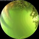 ./images/calvert/underwater/20260618/underwater20260618_165001M.jpg
