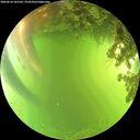 ./images/calvert/underwater/20260618/underwater20260618_165501M.jpg