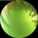 ./images/calvert/underwater/20260618/underwater20260618_170001M.jpg
