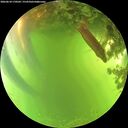 ./images/calvert/underwater/20260618/underwater20260618_170501M.jpg
