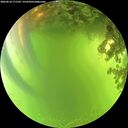 ./images/calvert/underwater/20260618/underwater20260618_171501M.jpg