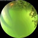 ./images/calvert/underwater/20260618/underwater20260618_172001M.jpg