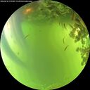 ./images/calvert/underwater/20260618/underwater20260618_172501M.jpg