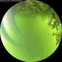 ./images/calvert/underwater/20260618/underwater20260618_173001M.jpg