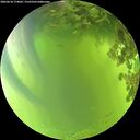 ./images/calvert/underwater/20260618/underwater20260618_174002M.jpg