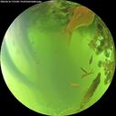 ./images/calvert/underwater/20260618/underwater20260618_175501M.jpg