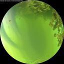 ./images/calvert/underwater/20260618/underwater20260618_181501M.jpg