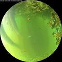 ./images/calvert/underwater/20260618/underwater20260618_184001M.jpg