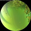 ./images/calvert/underwater/20260618/underwater20260618_184501M.jpg