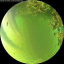 ./images/calvert/underwater/20260618/underwater20260618_185001M.jpg