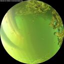 ./images/calvert/underwater/20260618/underwater20260618_190001M.jpg