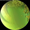 ./images/calvert/underwater/20260618/underwater20260618_190502M.jpg