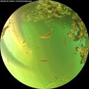 ./images/calvert/underwater/20260618/underwater20260618_193001M.jpg