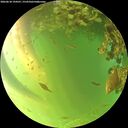 ./images/calvert/underwater/20260618/underwater20260618_194501M.jpg