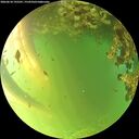 ./images/calvert/underwater/20260618/underwater20260618_195501M.jpg