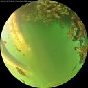./images/calvert/underwater/20260618/underwater20260618_201002M.jpg