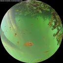 ./images/calvert/underwater/20260618/underwater20260618_202001M.jpg