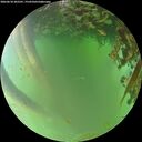 ./images/calvert/underwater/20260618/underwater20260618_202501M.jpg