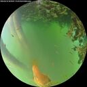 ./images/calvert/underwater/20260618/underwater20260618_203001M.jpg