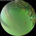 ./images/calvert/underwater/20260618/underwater20260618_203501M.jpg