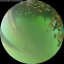 ./images/calvert/underwater/20260618/underwater20260618_204001M.jpg