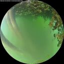 ./images/calvert/underwater/20260618/underwater20260618_204501M.jpg