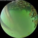 ./images/calvert/underwater/20260618/underwater20260618_205002M.jpg