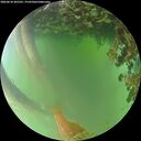 ./images/calvert/underwater/20260618/underwater20260618_205501M.jpg