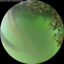 ./images/calvert/underwater/20260618/underwater20260618_210001M.jpg