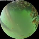 ./images/calvert/underwater/20260618/underwater20260618_210501M.jpg
