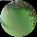 ./images/calvert/underwater/20260618/underwater20260618_211002M.jpg