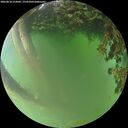 ./images/calvert/underwater/20260618/underwater20260618_212001M.jpg