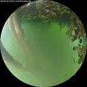 ./images/calvert/underwater/20260618/underwater20260618_212501M.jpg