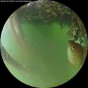 ./images/calvert/underwater/20260618/underwater20260618_213001M.jpg