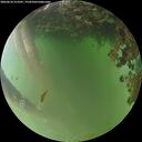 ./images/calvert/underwater/20260618/underwater20260618_213501M.jpg