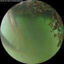 ./images/calvert/underwater/20260618/underwater20260618_214002M.jpg