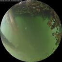 ./images/calvert/underwater/20260618/underwater20260618_215001M.jpg
