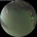 ./images/calvert/underwater/20260618/underwater20260618_221001M.jpg
