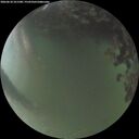./images/calvert/underwater/20260618/underwater20260618_221501M.jpg
