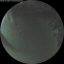 ./images/calvert/underwater/20260618/underwater20260618_223001M.jpg