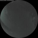 ./images/calvert/underwater/20260618/underwater20260618_224001M.jpg