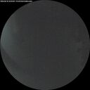 ./images/calvert/underwater/20260618/underwater20260618_224502M.jpg