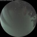 ./images/calvert/underwater/20260619/underwater20260619_045002M.jpg