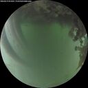 ./images/calvert/underwater/20260619/underwater20260619_051001M.jpg