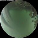 ./images/calvert/underwater/20260619/underwater20260619_051501M.jpg