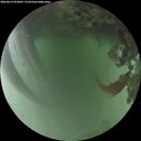 ./images/calvert/underwater/20260619/underwater20260619_052002M.jpg