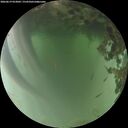 ./images/calvert/underwater/20260619/underwater20260619_053002M.jpg
