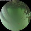 ./images/calvert/underwater/20260619/underwater20260619_054001M.jpg