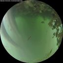 ./images/calvert/underwater/20260619/underwater20260619_055501M.jpg